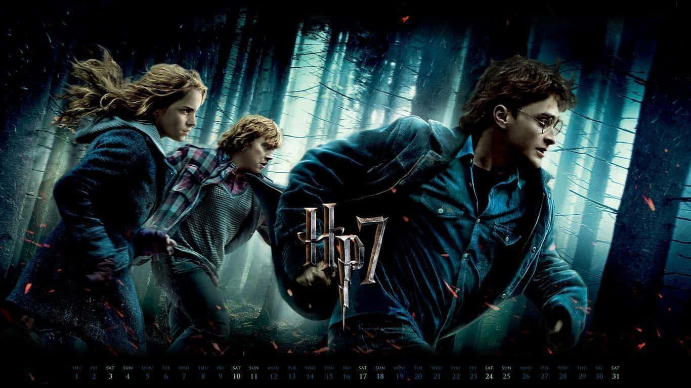Harry Potter All Characters Wallpaper