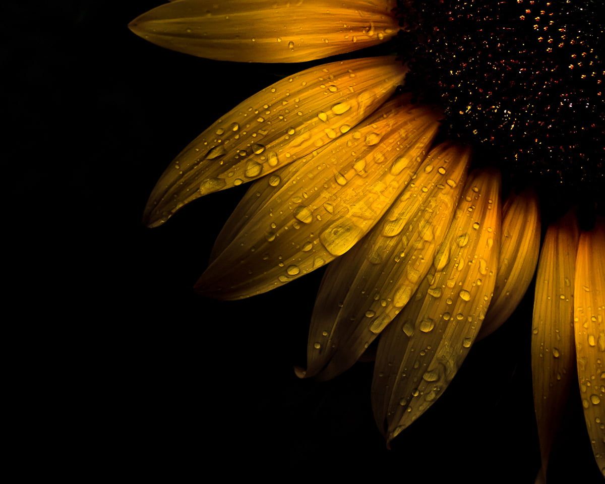 0f5d34363fc51ff91fbc25ab1bd13454 Wallpaper