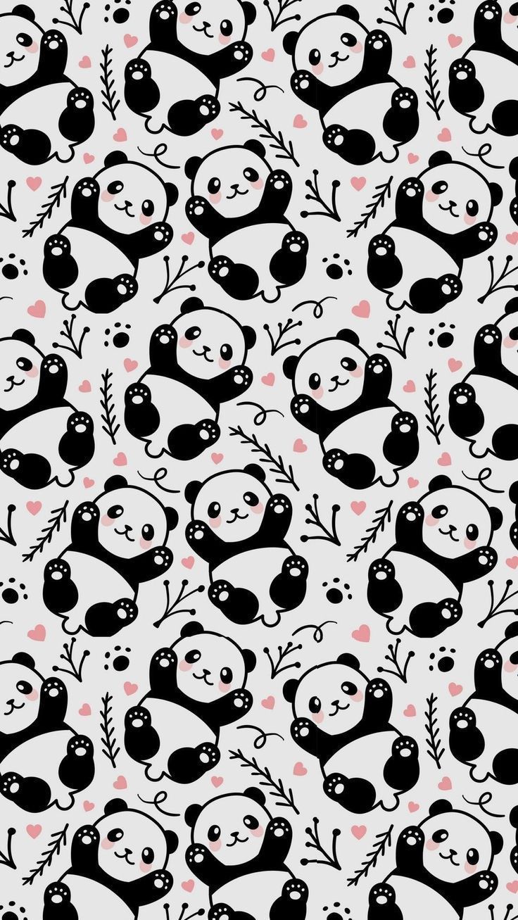 Panda Speech Discourse Animalwallpaper