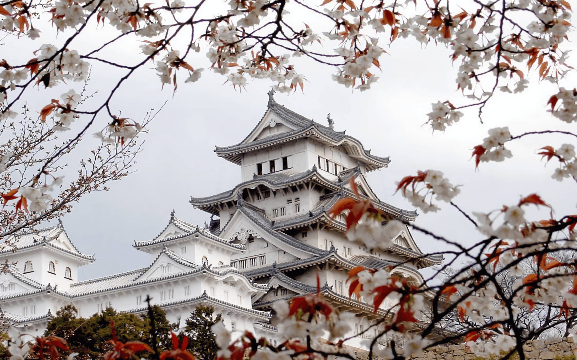 Japan Wallpaper