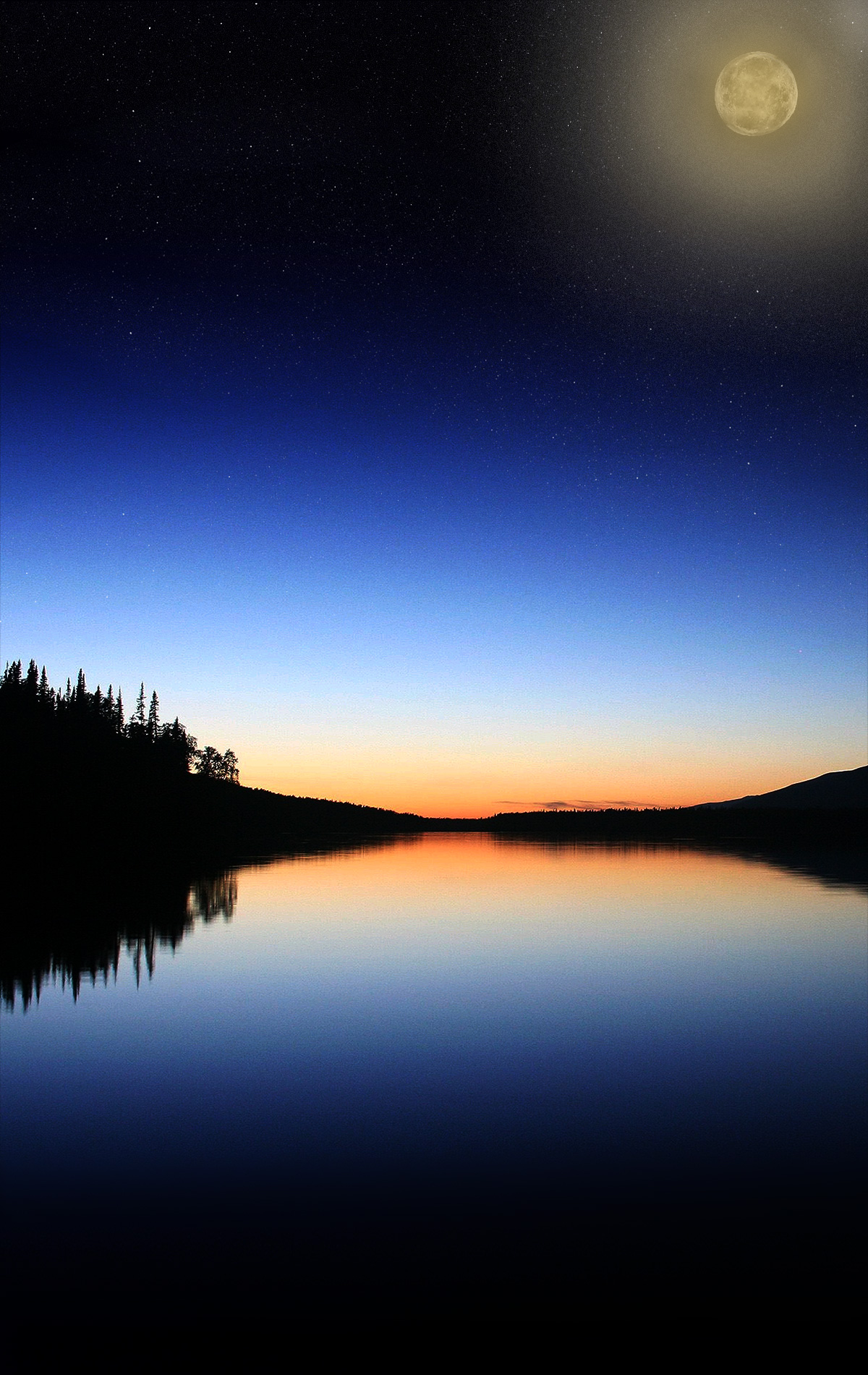 🔥 [49+] Free Large Desktop Wallpapers | WallpaperSafari