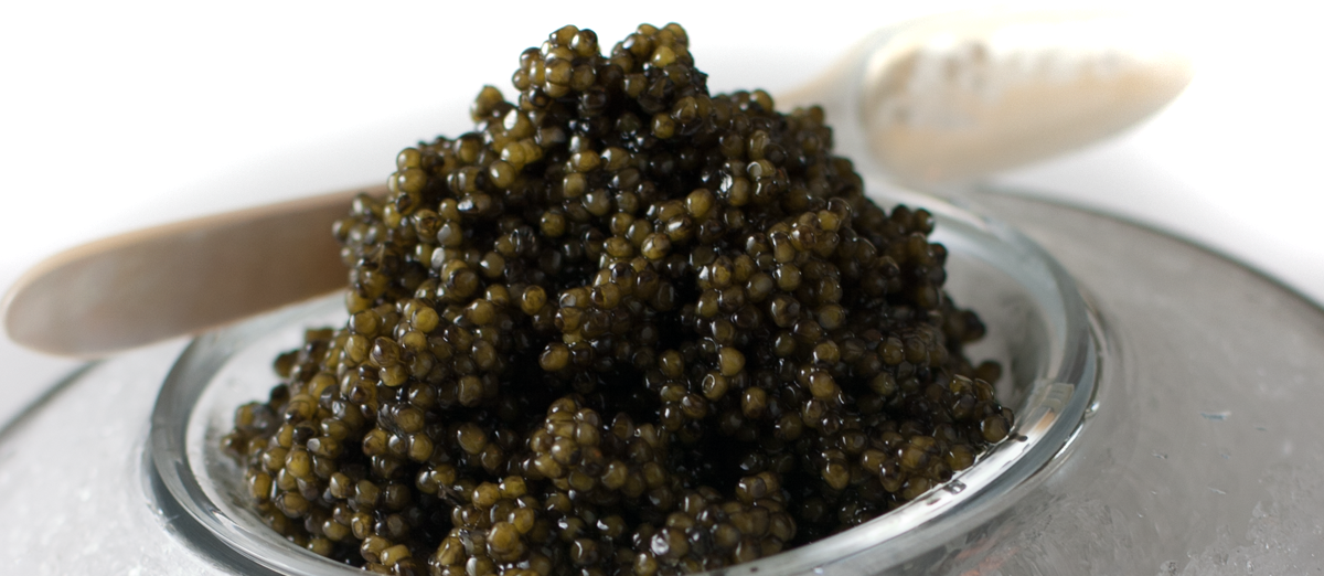 Free download Caviar wallpapers Food HQ Caviar pictures 4K Wallpapers