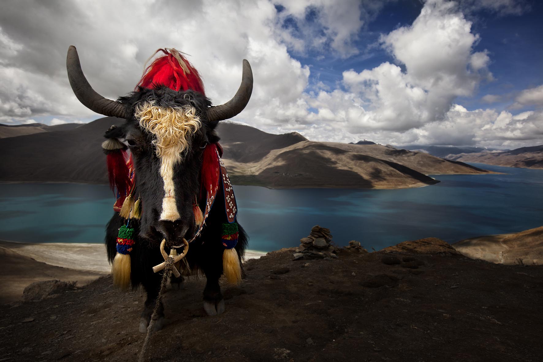Tibet Pictures Stunning  Download Free Images on Unsplash