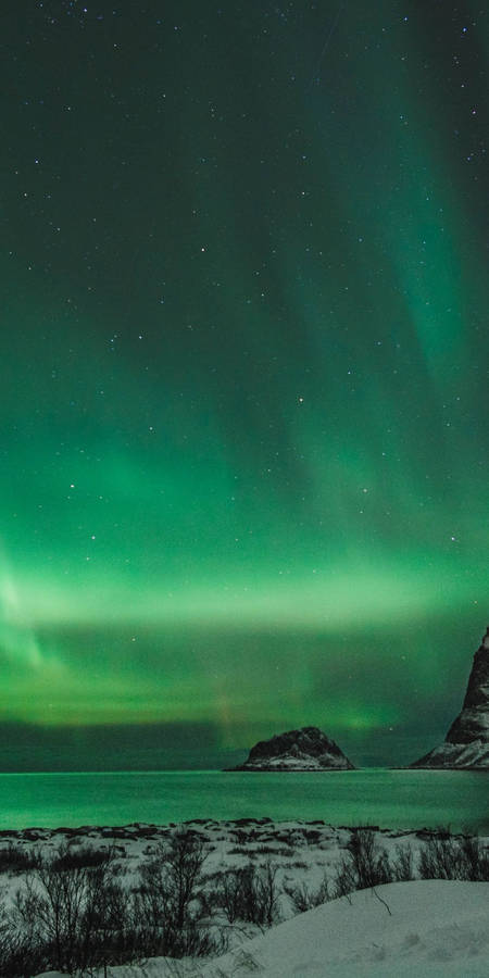 iPhone Home Screen Wallpaper