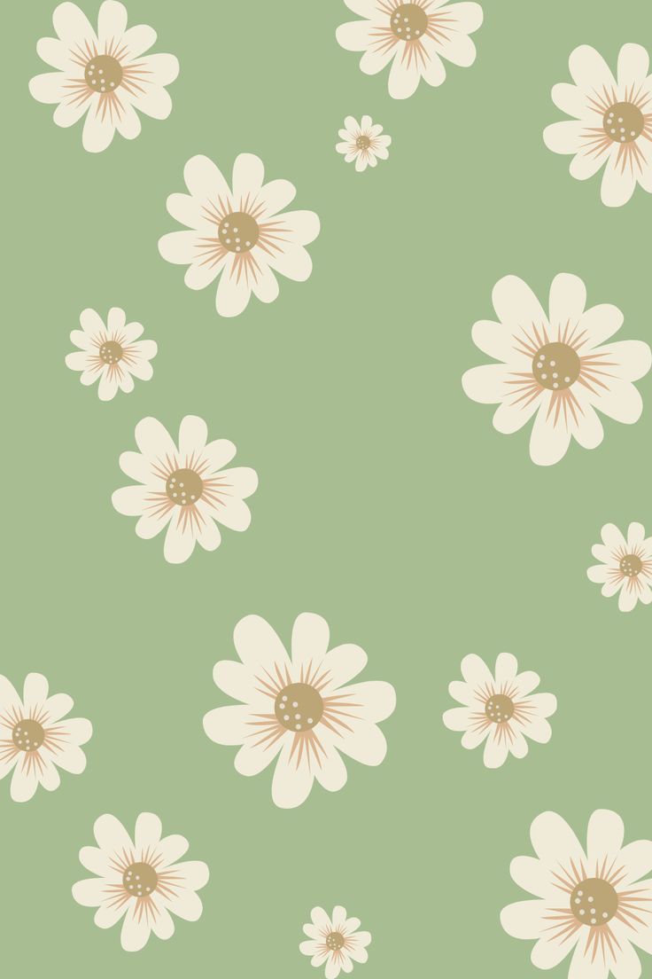 Sage Green Daisy Wallpaper Pattern Flower Aesthetic Floral