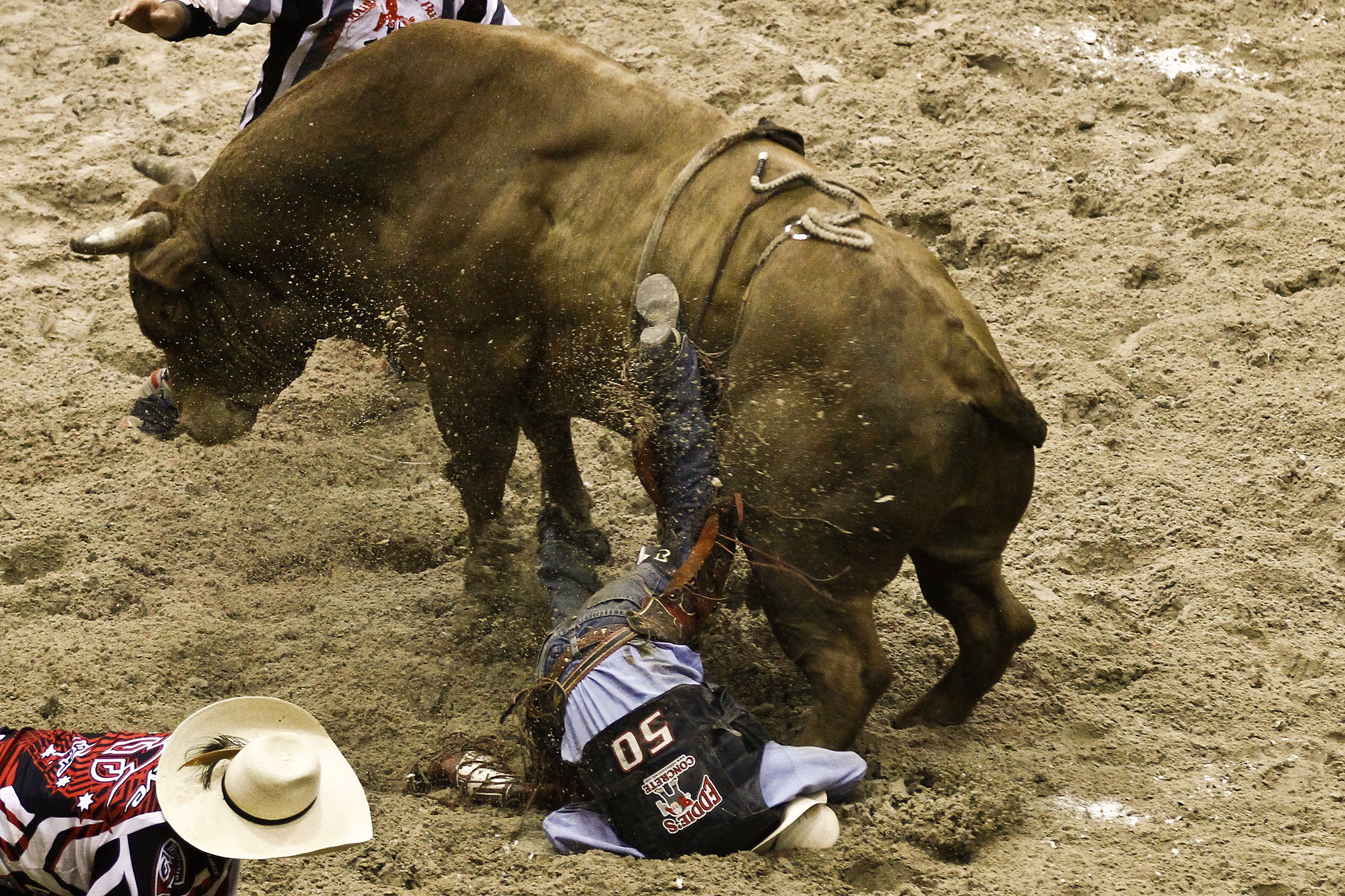 Bull Riding Bullrider Rodeo Western Cowboy Extreme Cow