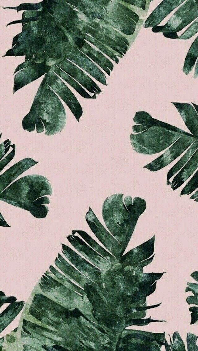 Leafy Rustic Background For Some Tropicalvibes Plant Wallpaper