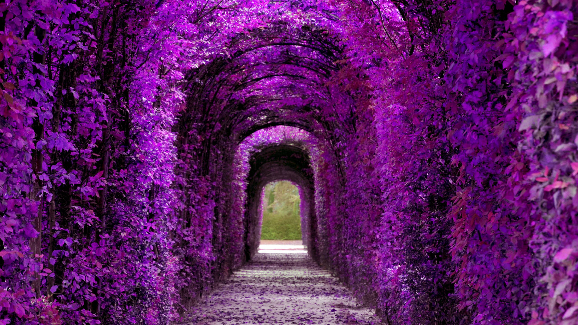 Violet Aesthetic Wallpaper