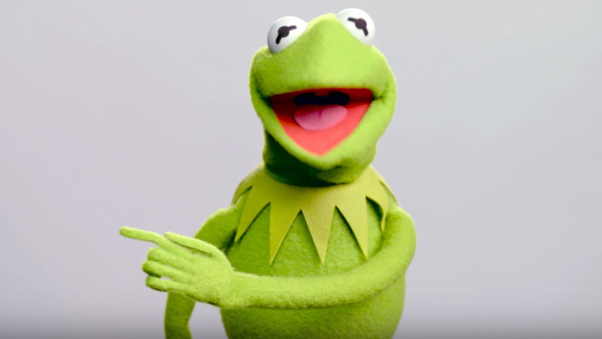 Kermit The Frog Hd Wallpaper On