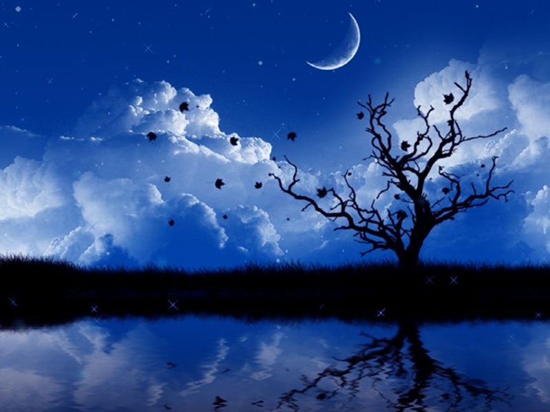 Wallpaper 3d Animated