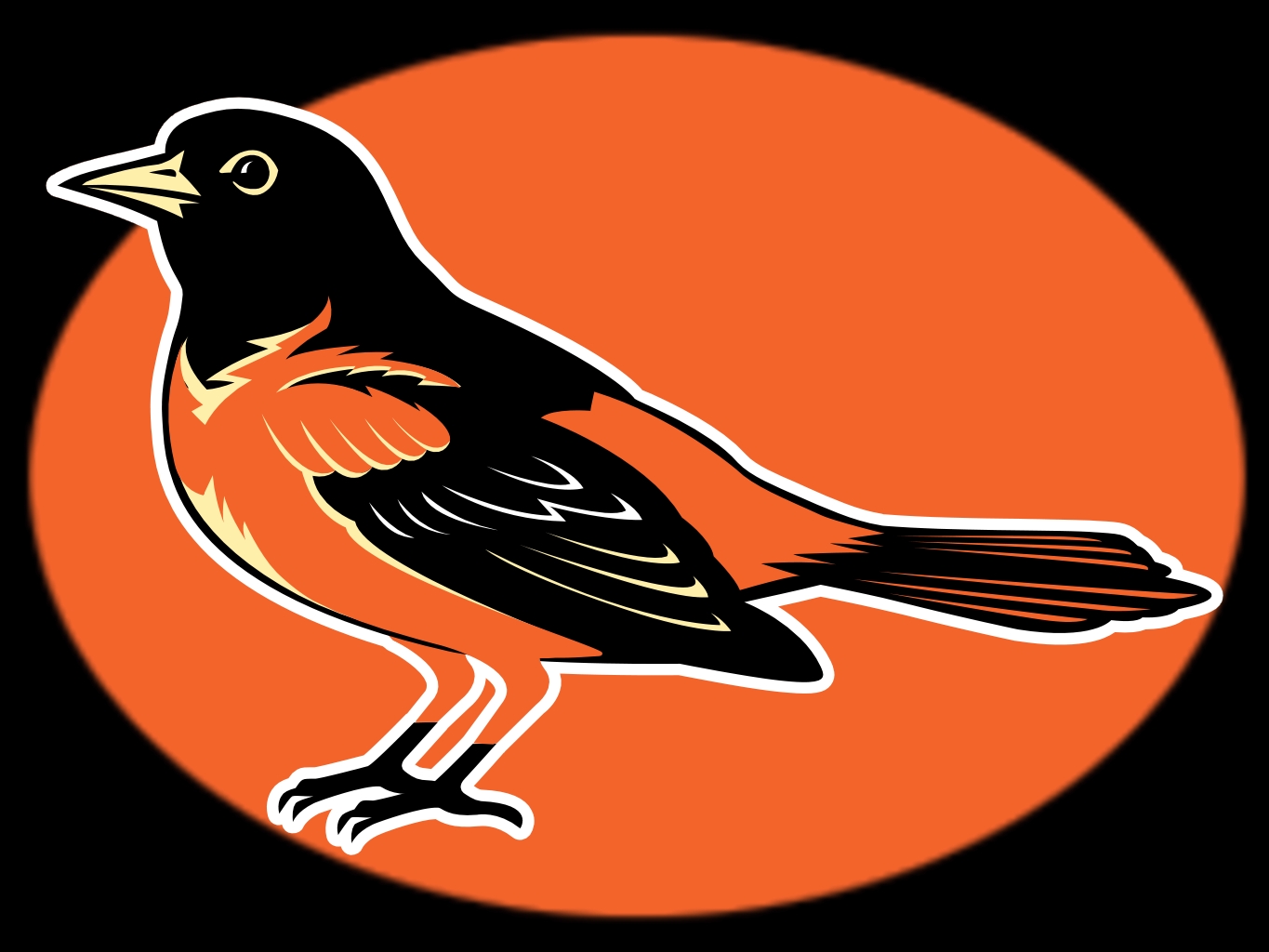 Baltimore Orioles Related Keywords Suggestions