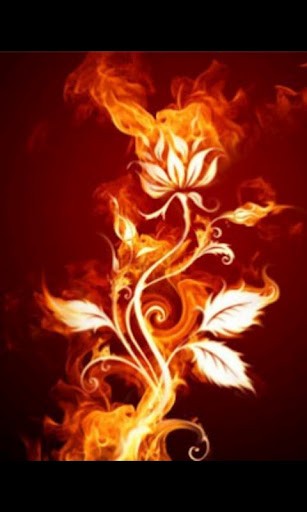 Flame Rose 3d Live Wallpaper For Android Appszoom
