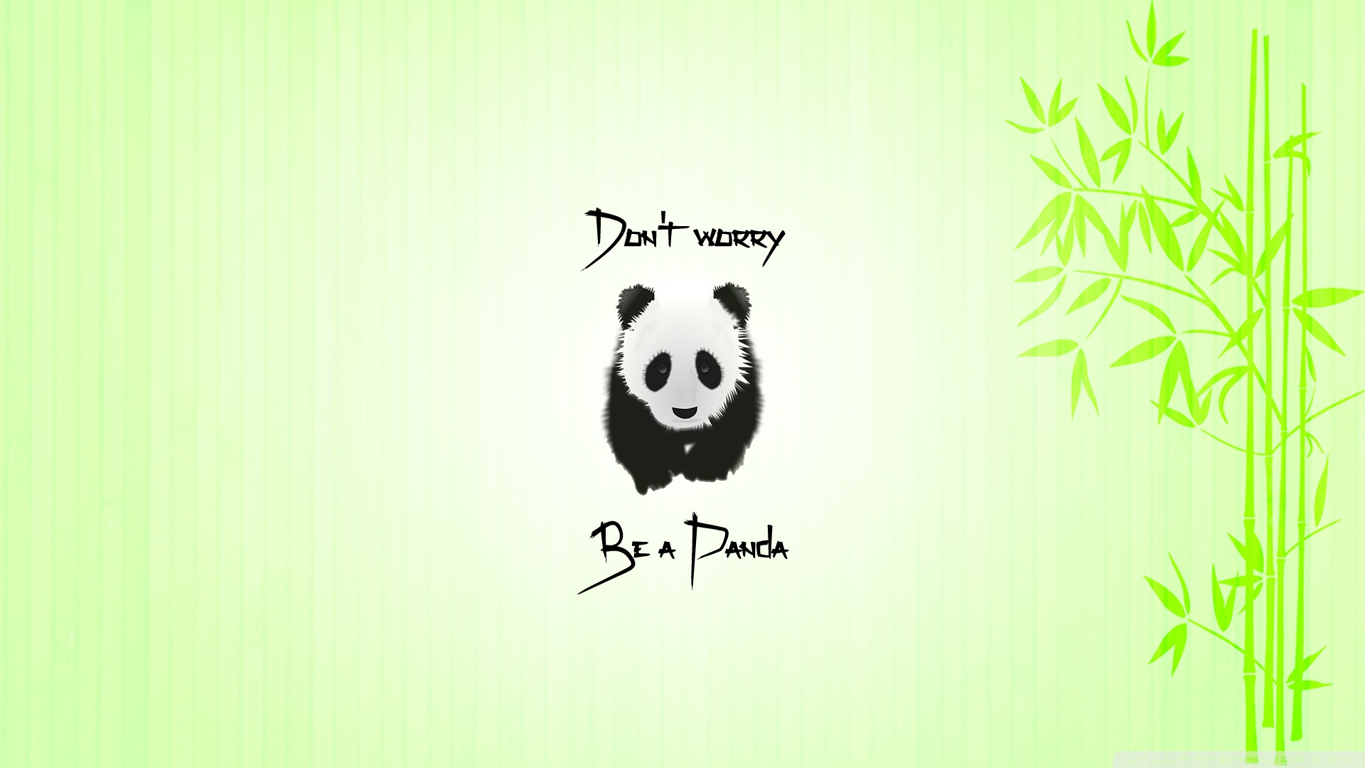 Panda Quote Animals Bamboo Wallpaper HD Desktop And Mobile