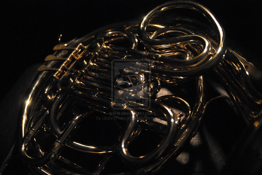 French Horn In High Contrast By Lizzievphotography