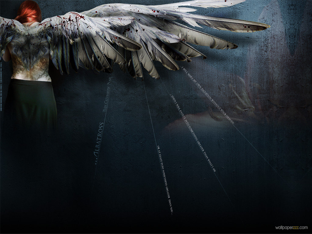 Bloody Angel Wings Wallpaper