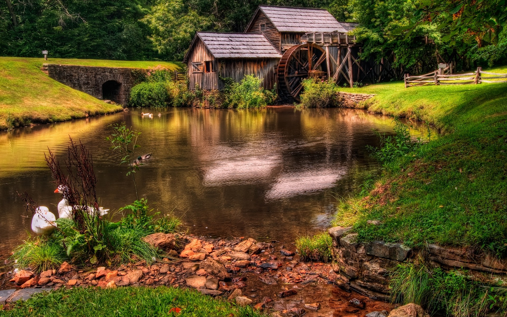 Pond HD Wallpaper