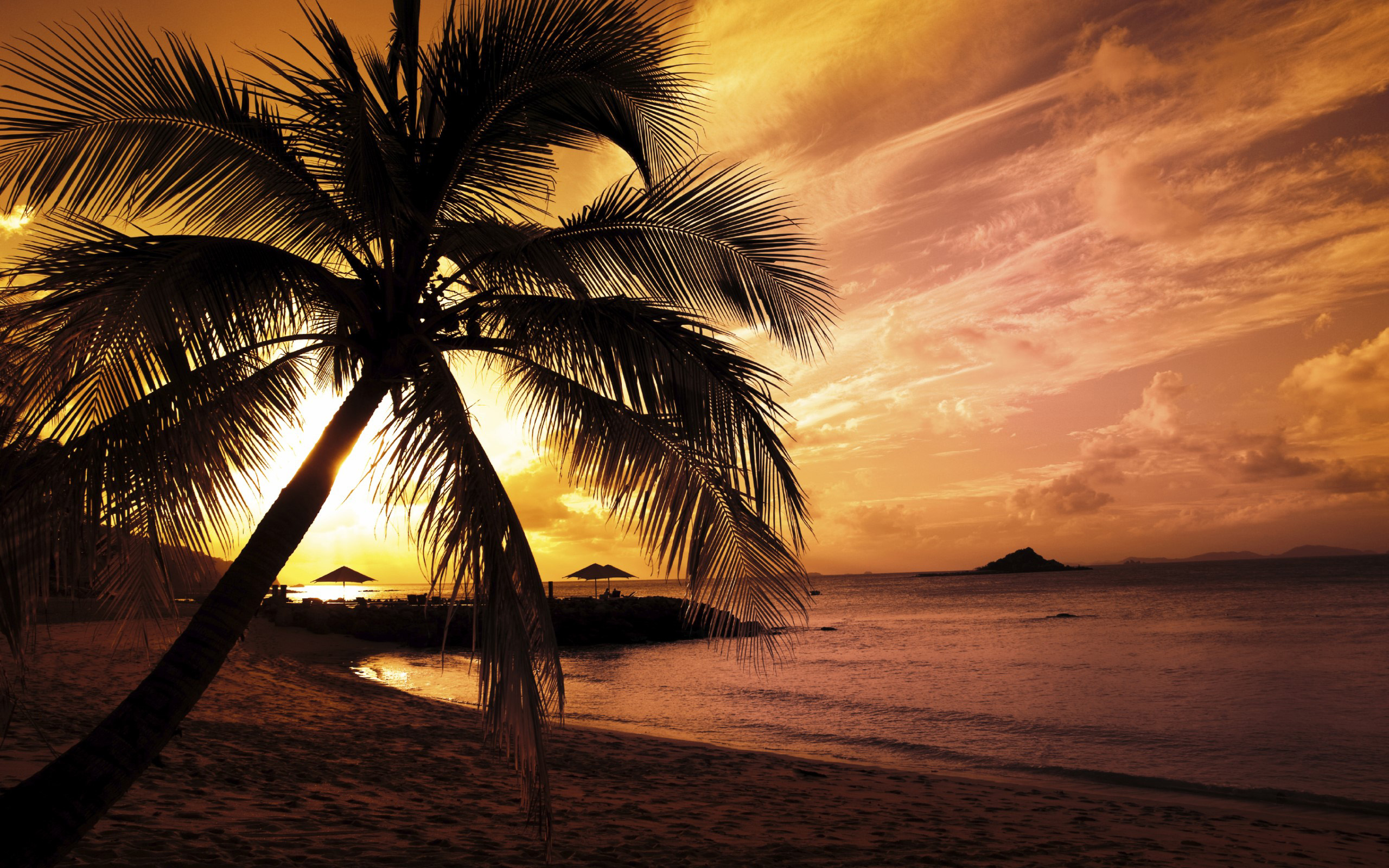 Sunset Palm Trees Hd Sunset Palm Trees HD 2560x1600 470