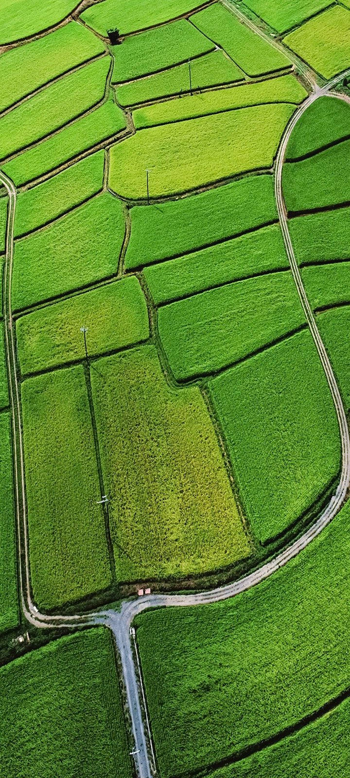 Vivo Y20 Wallpaper