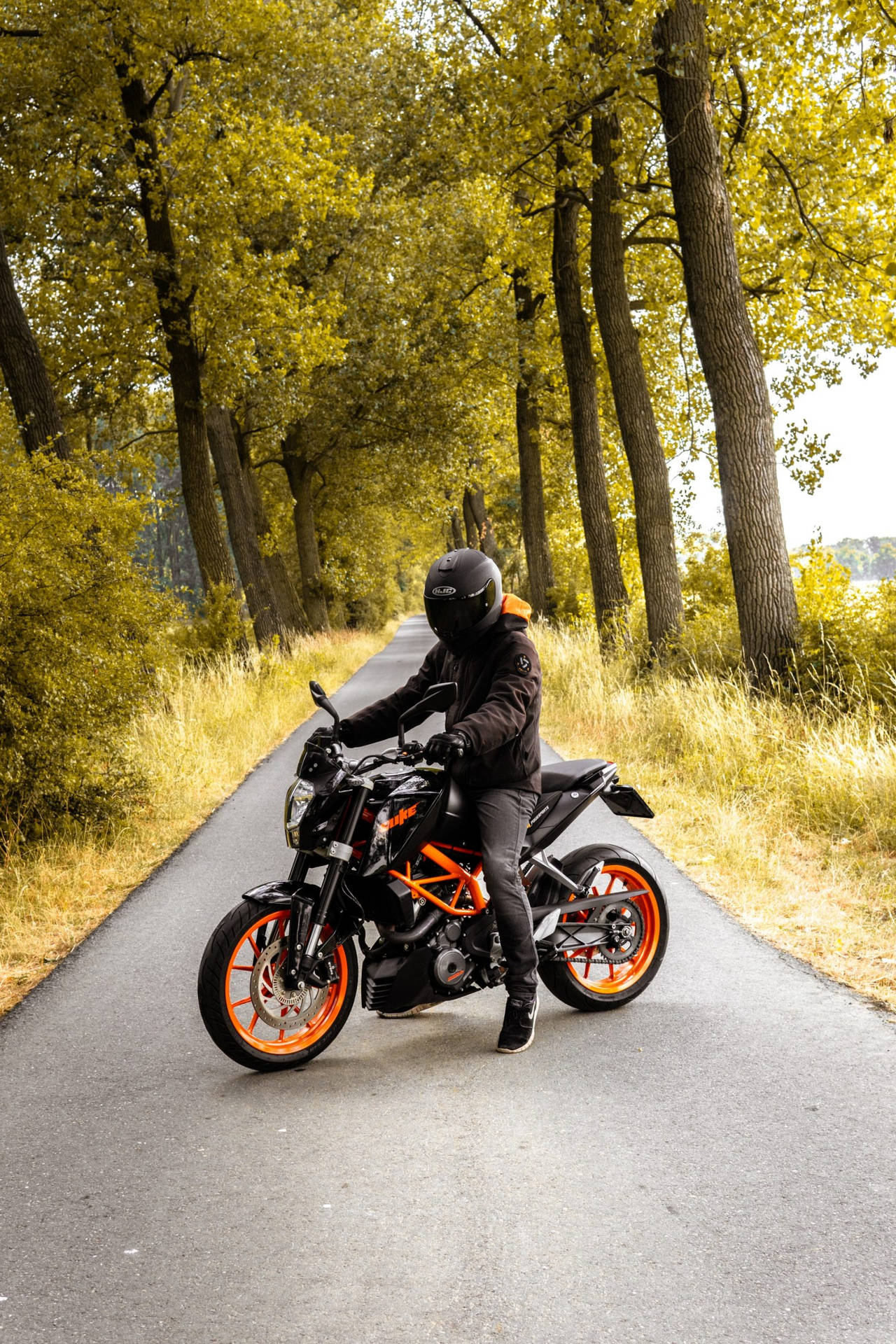 Driving Down Forest Road Ktm iPhone Wallpaper