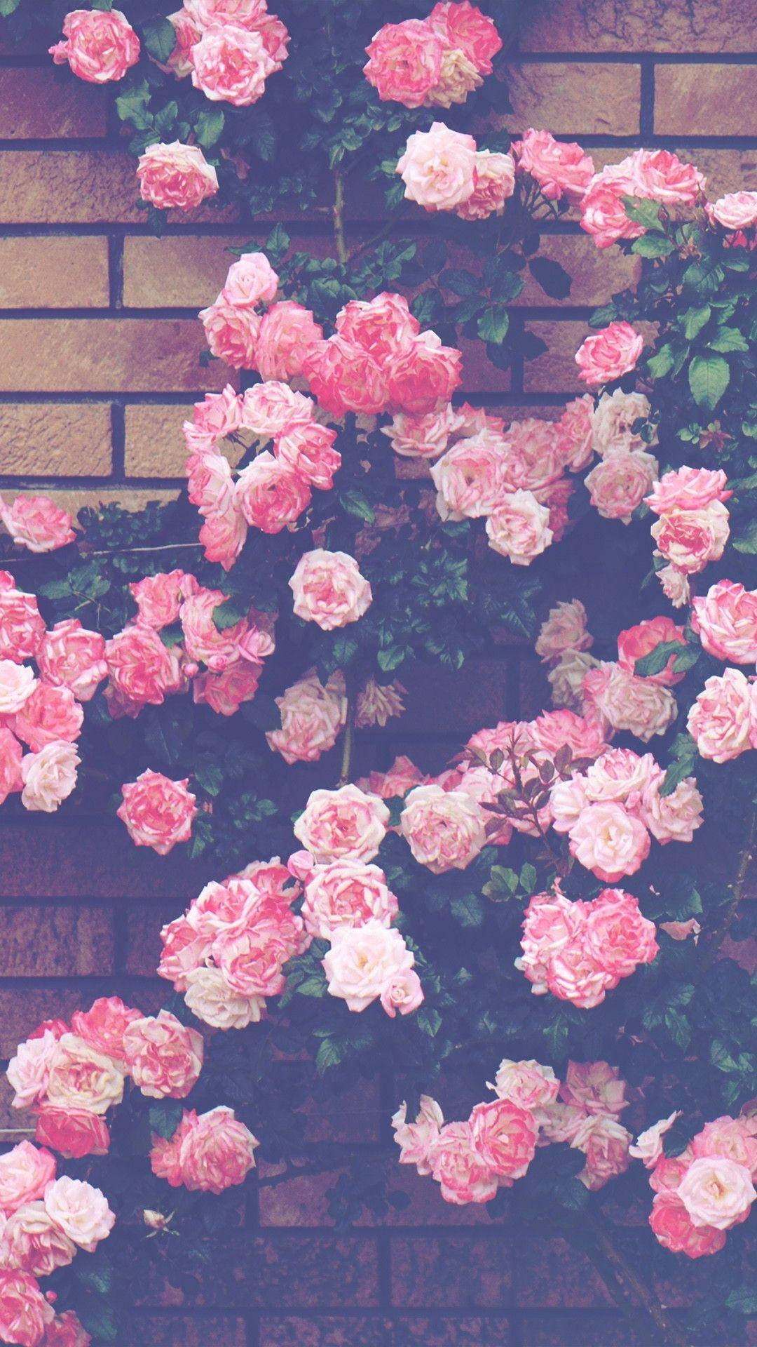 Pink Vintage Aesthetic Wallpaper