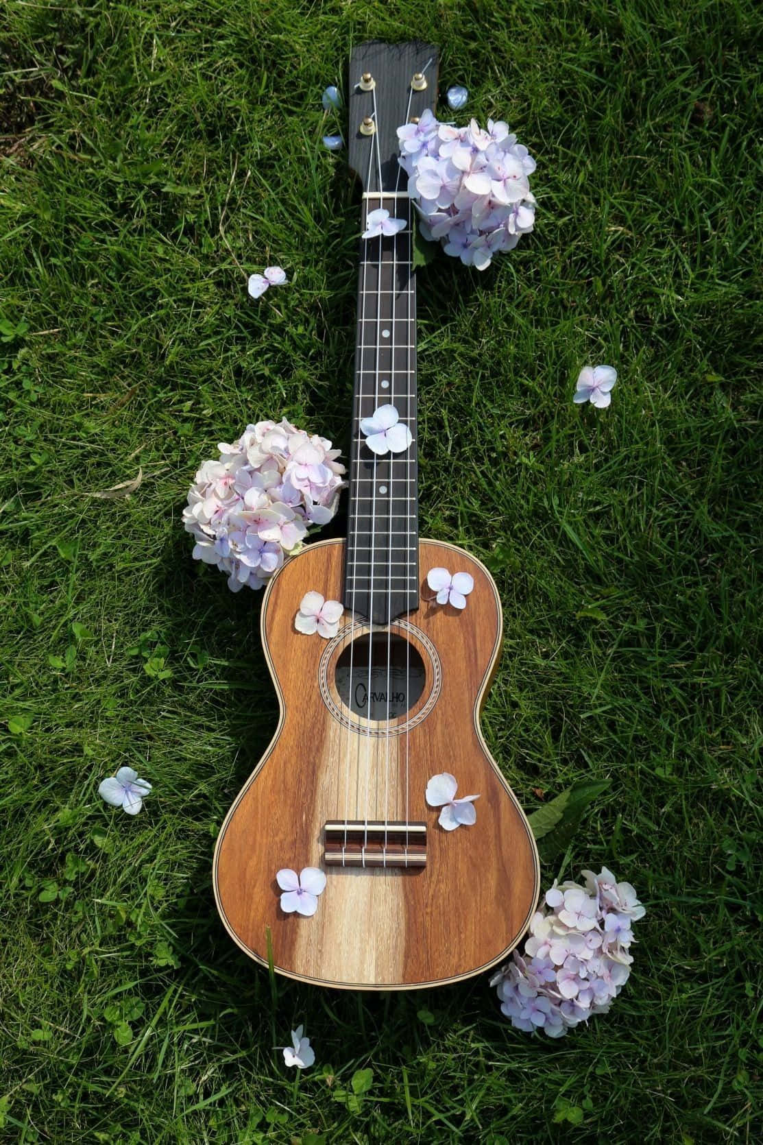 Guitar Aesthetic Wallpaper