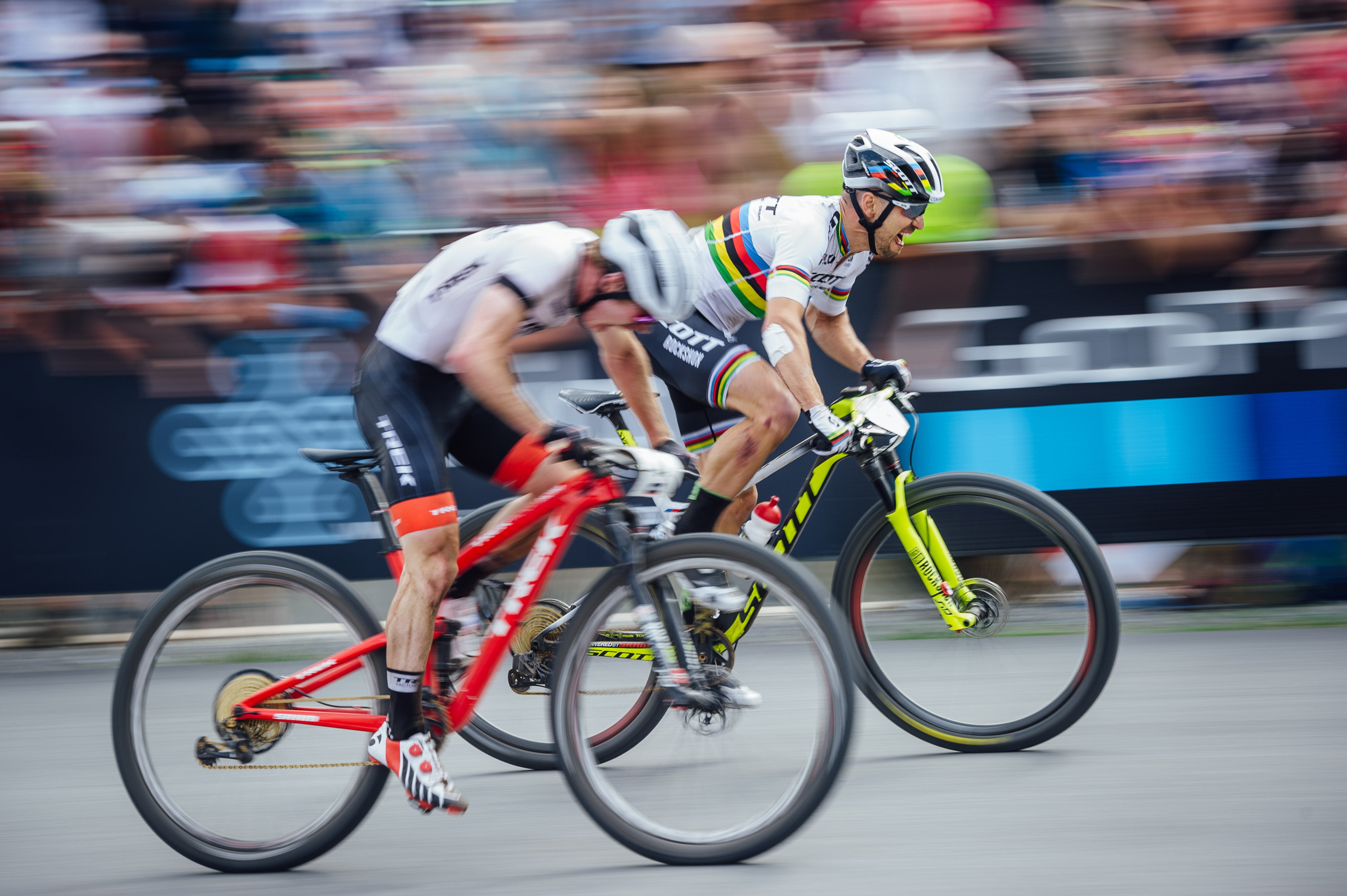 Mountain Bike Scott Love On The Nino Schurter 4k Bicycle Trek Mtb Sport Wallpaper