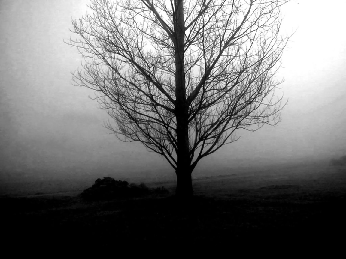Dark Tree Gothic Wallpapers HD And Screensaver cute Wallpapers