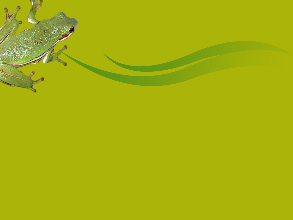Free Frog Backgrounds For PowerPoint   Animal PPT Templates