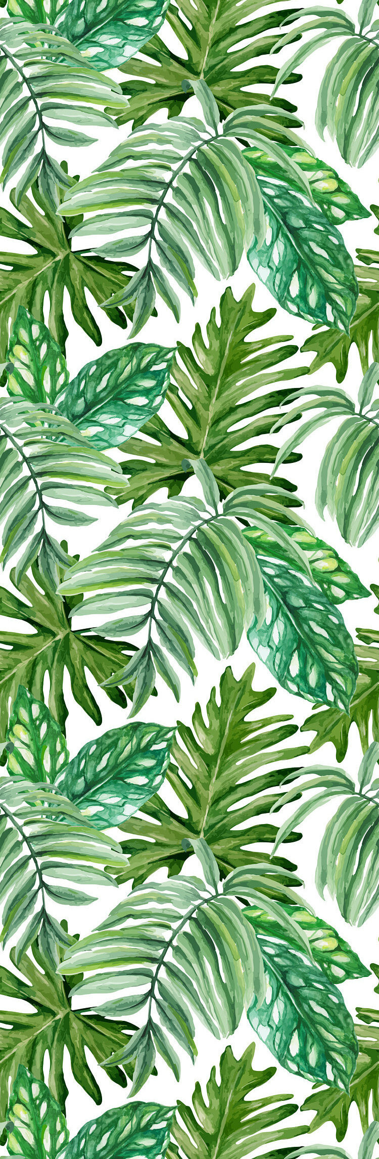 Bay Isle Home Wilkinson Removable Exotic Monstera Leaves