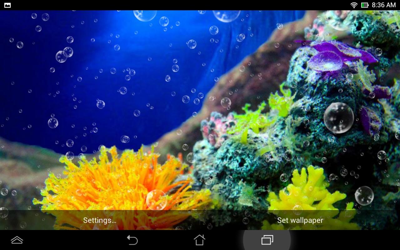 Coral Reef Live Wallpaper Screenshot