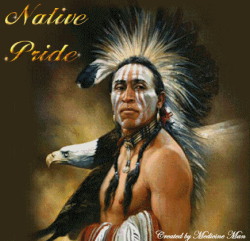 Native Pride Ments Graphics