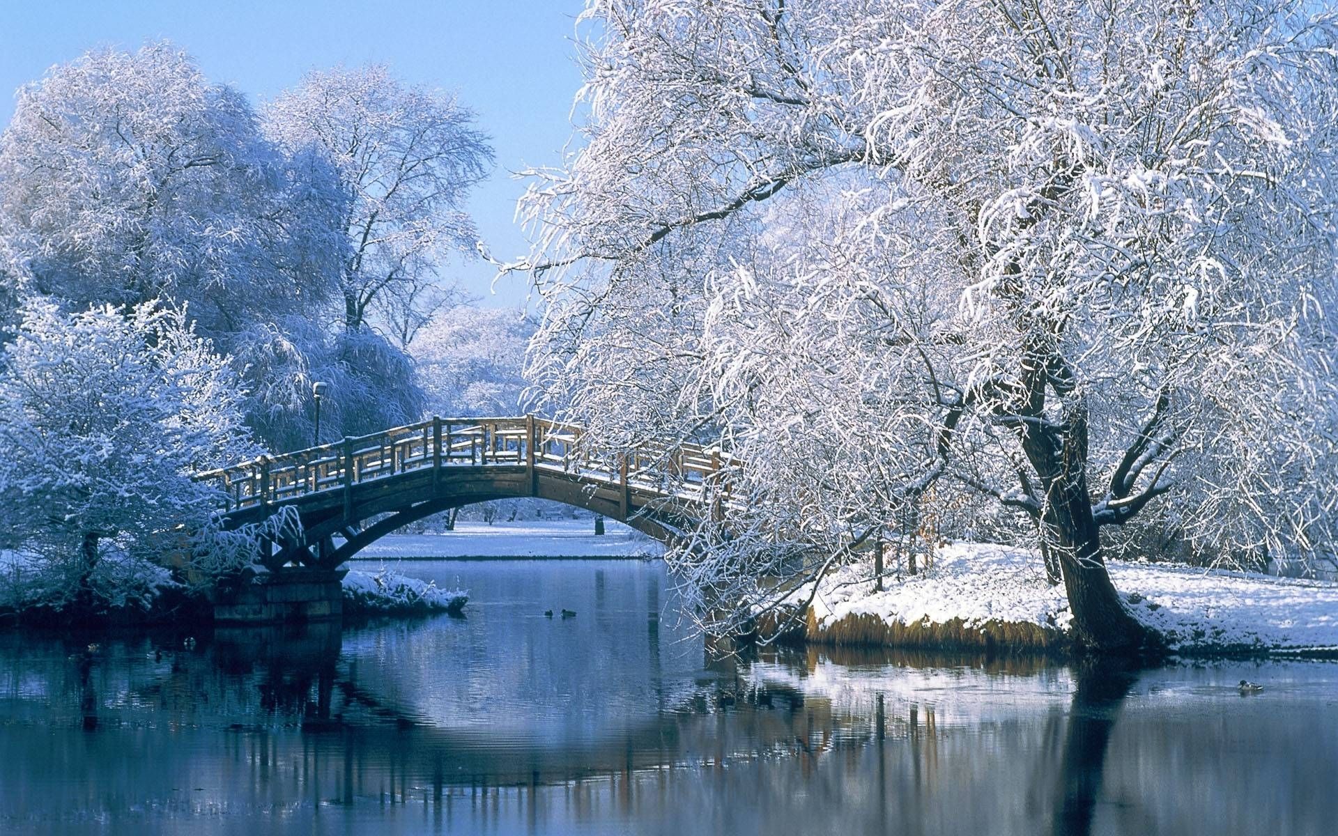 10 Most Popular Winter Scenes Desktop Background FULL HD 19201080
