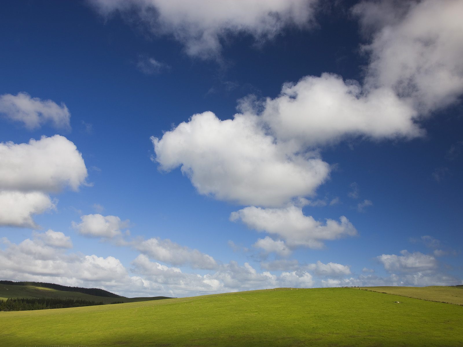 Blue Skies And Green Pastures Wallpaper HD
