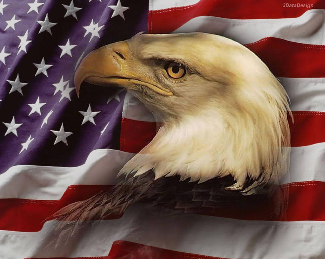Us Eagle And Usa Flag Wallpaper