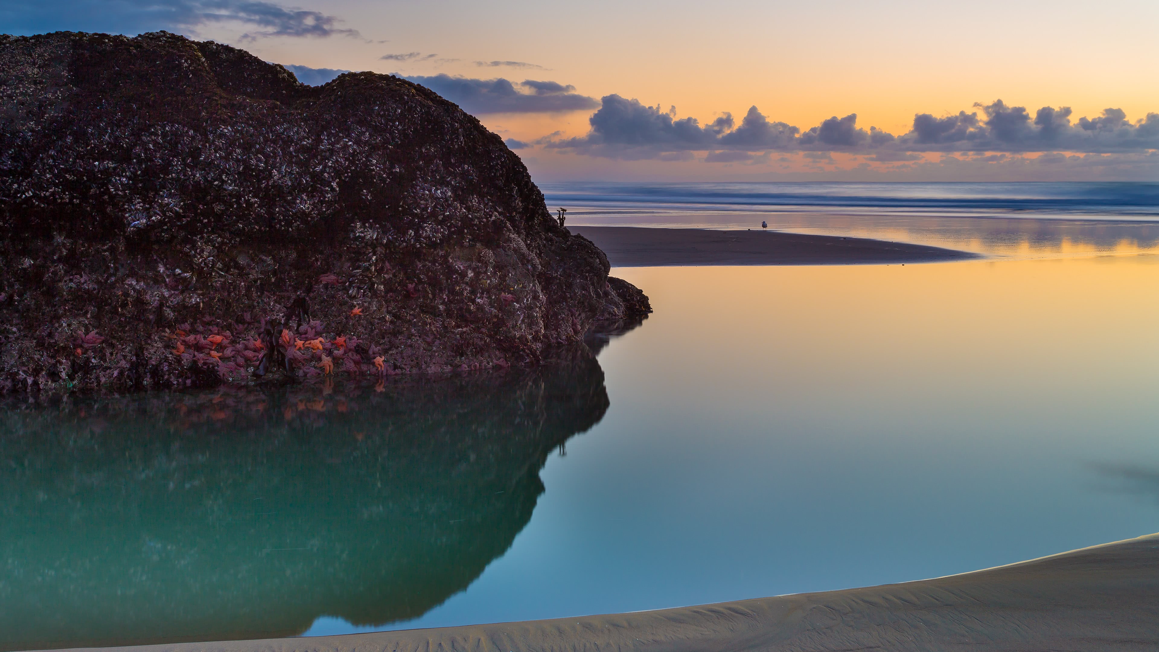 Bandon Beach Oregon United States UHD 4k Wallpaper Cc