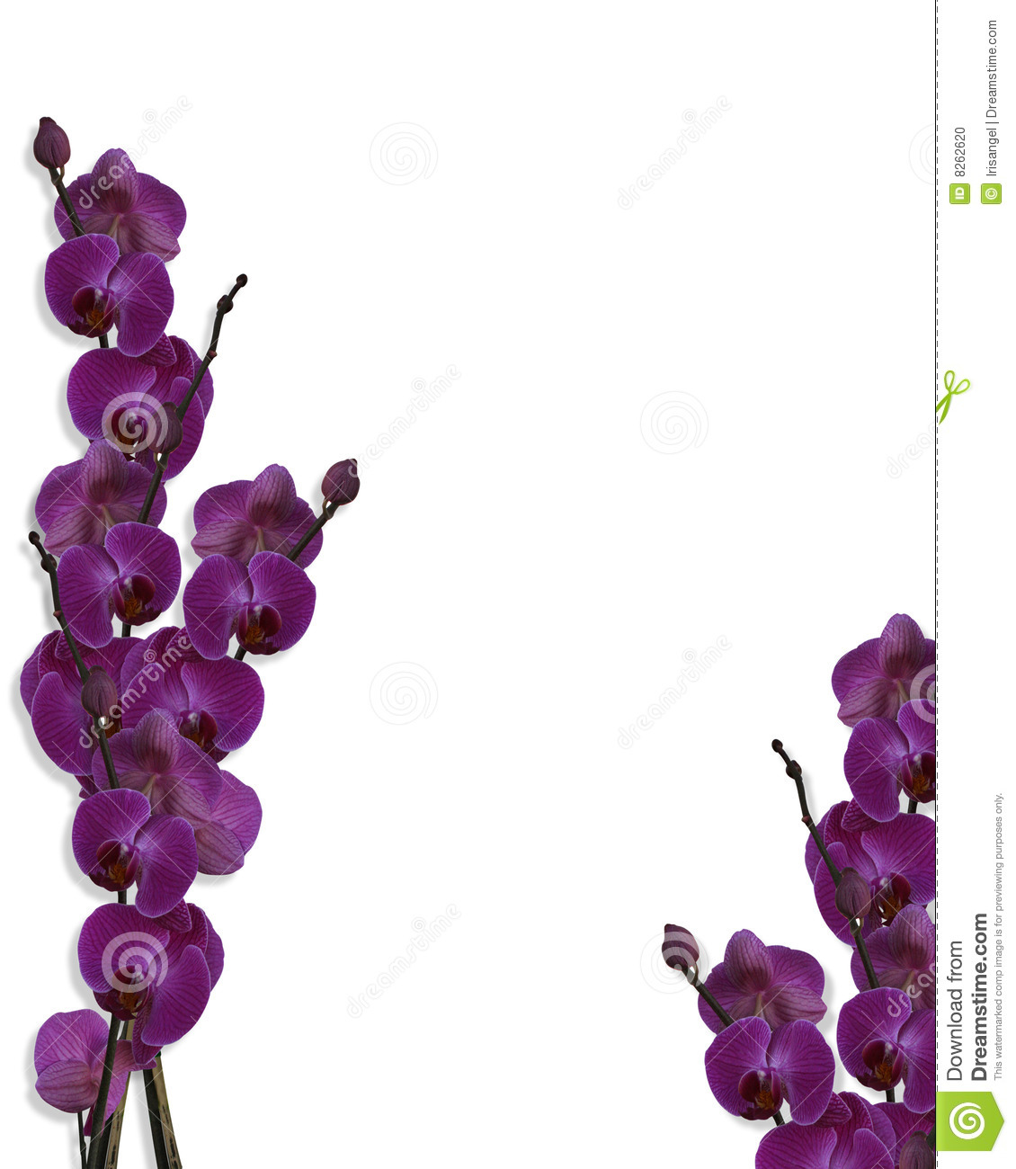 Purple Flower Wallpaper Border Weddingdressin