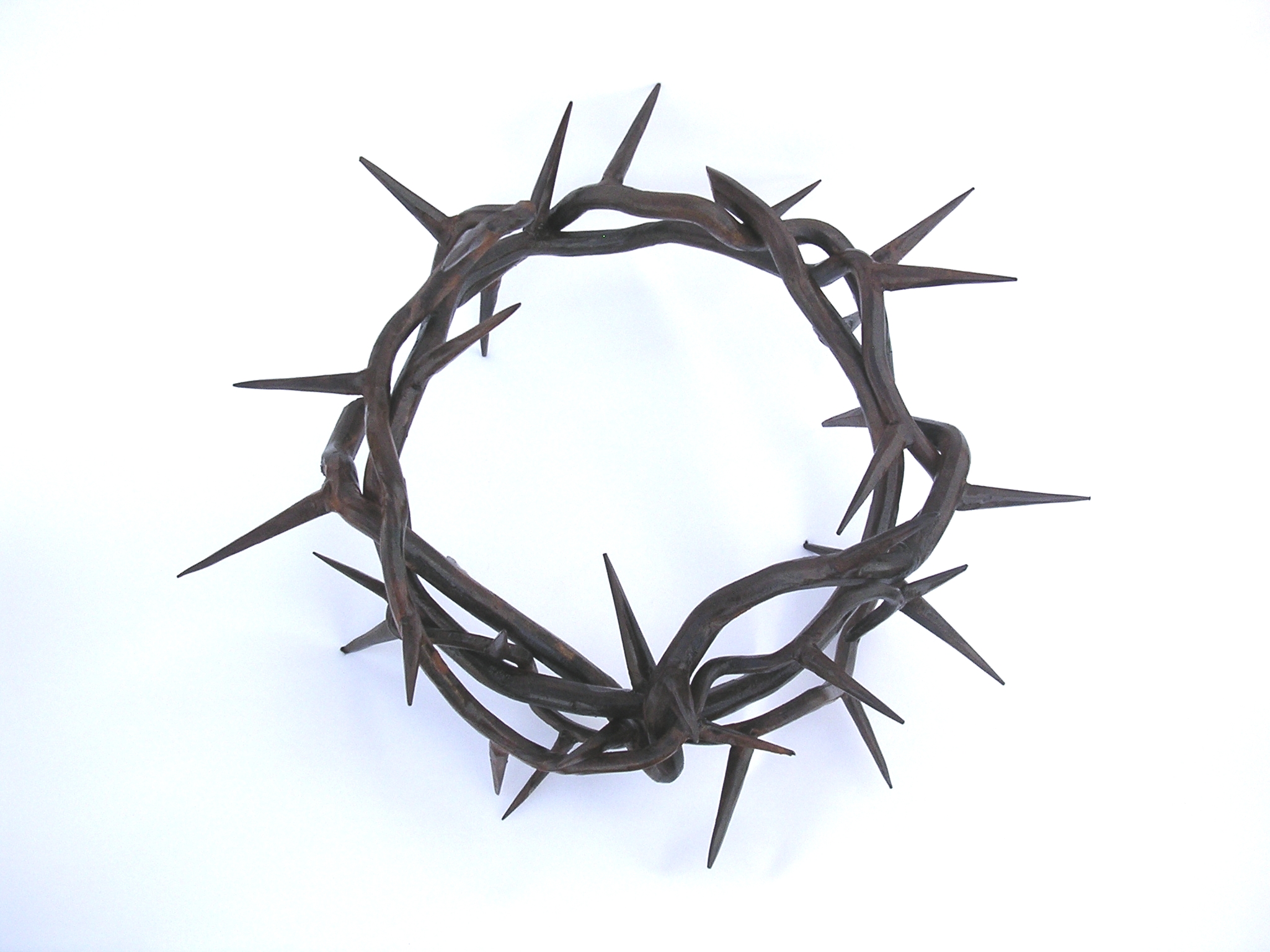 Quotes About Crown Of Thorns