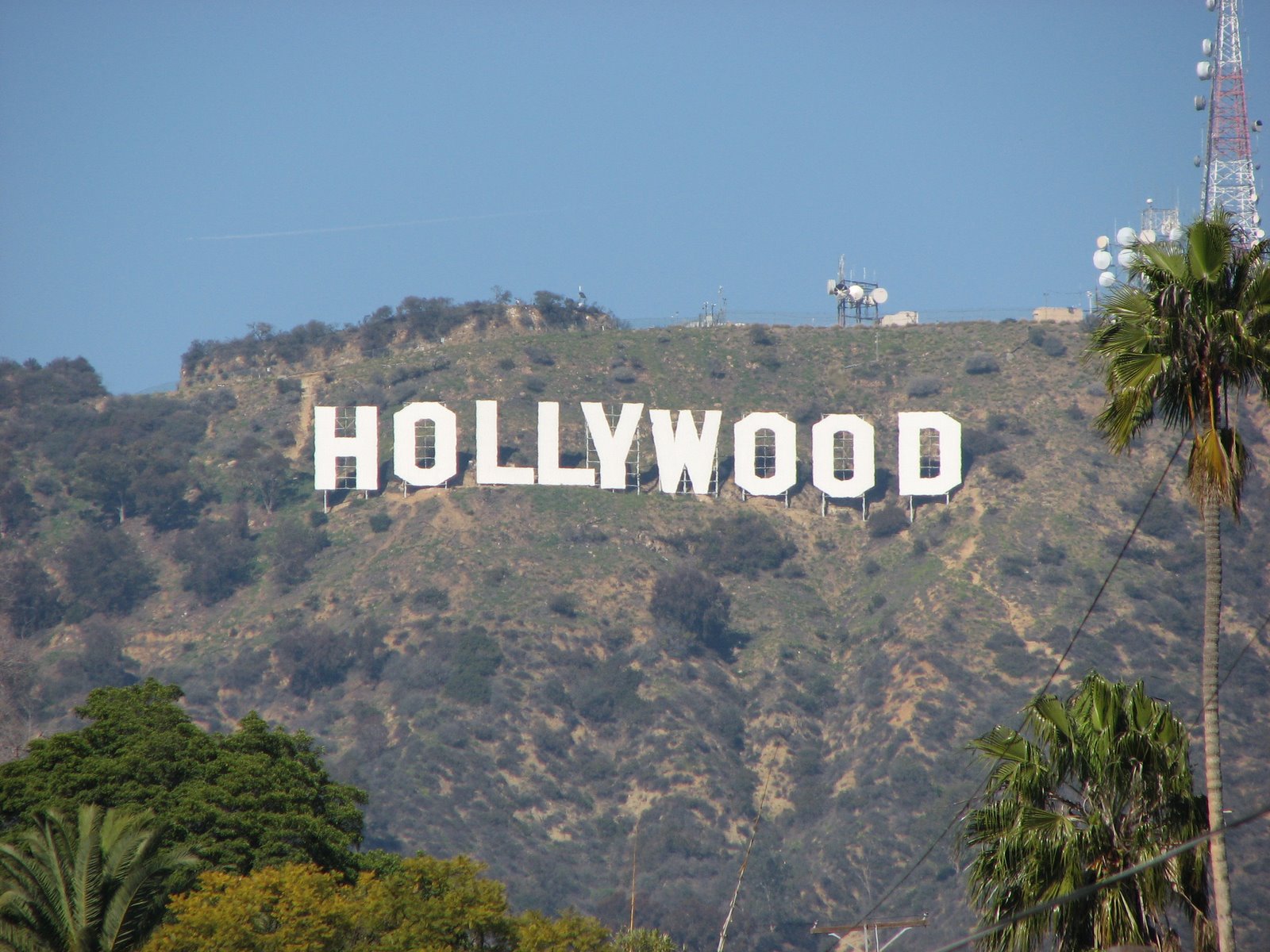 Hollywood Sign Wallpaper