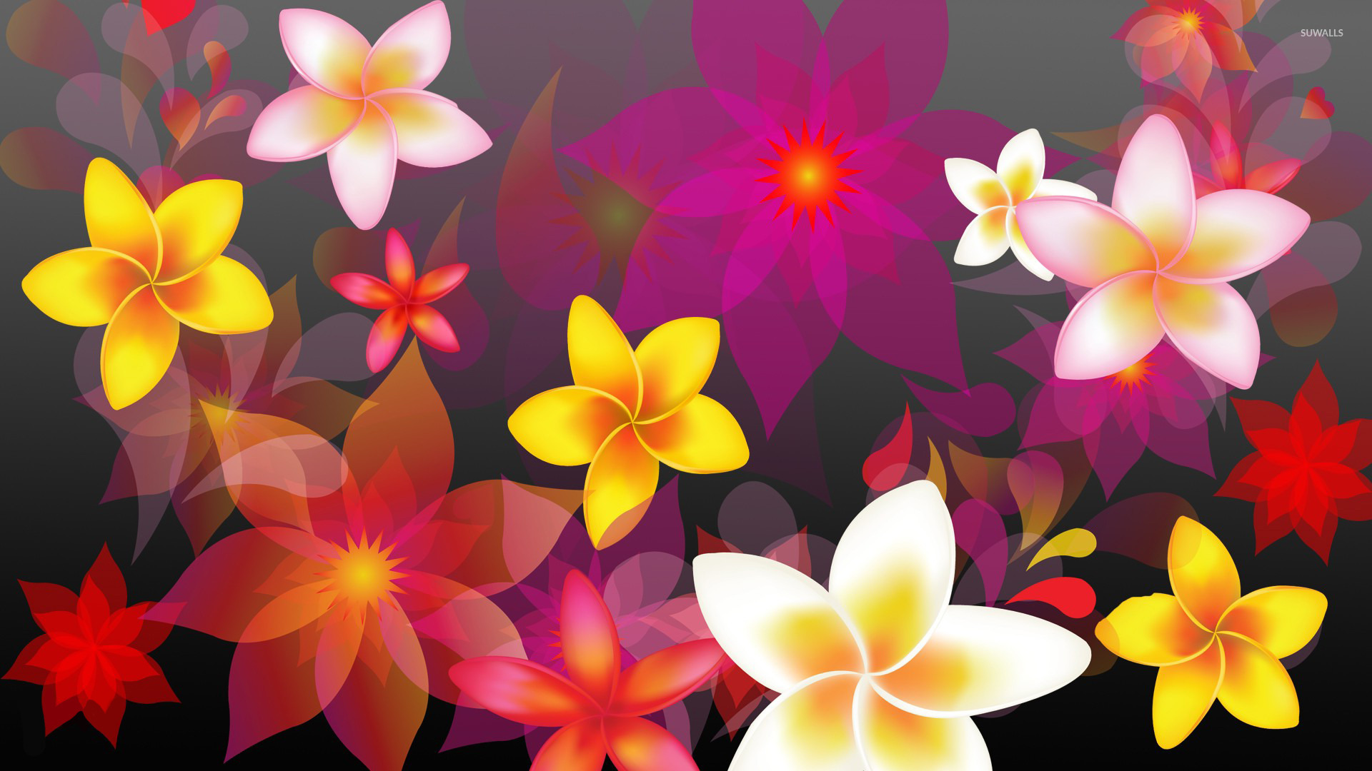 Colorful Flowers Wallpaper Digital Art