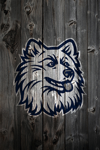 [49+] UConn Huskies Wallpaper on WallpaperSafari