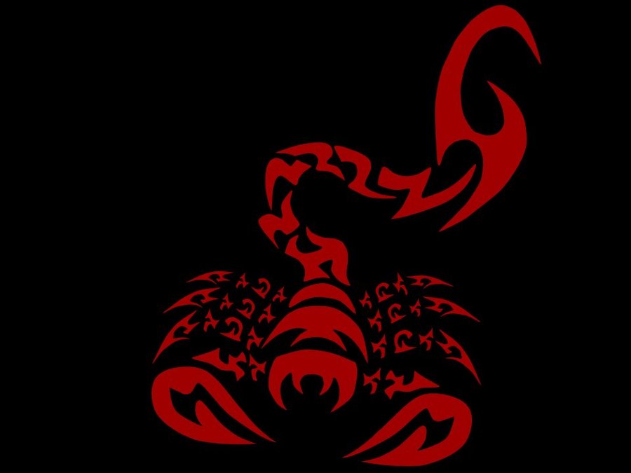 Red Scorpion Wallpaper Hd
