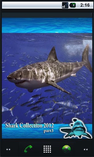 Bigger Shark Hunter HD Live Wallpaper For Android Screenshot