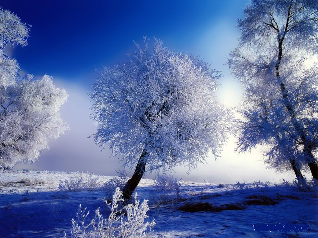 Beautiful Snow Scenery Wallpaper