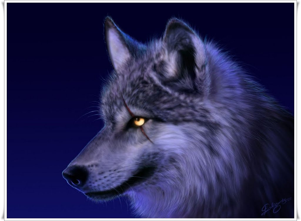 🔥 [47+] Animated Wolf Wallpaper | Wallpapersafari