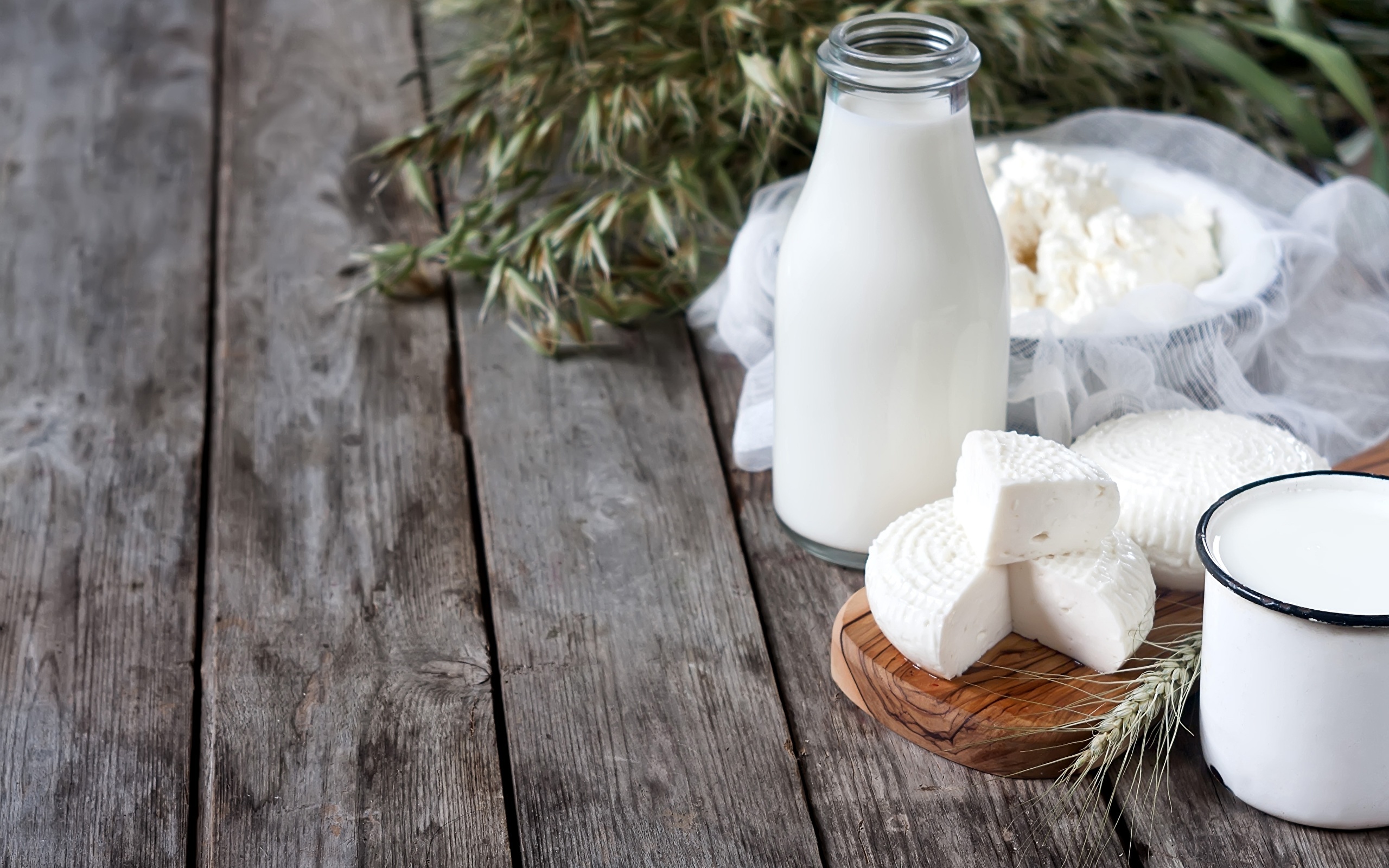 Desktop HD Milk Background Photo Wallpaper