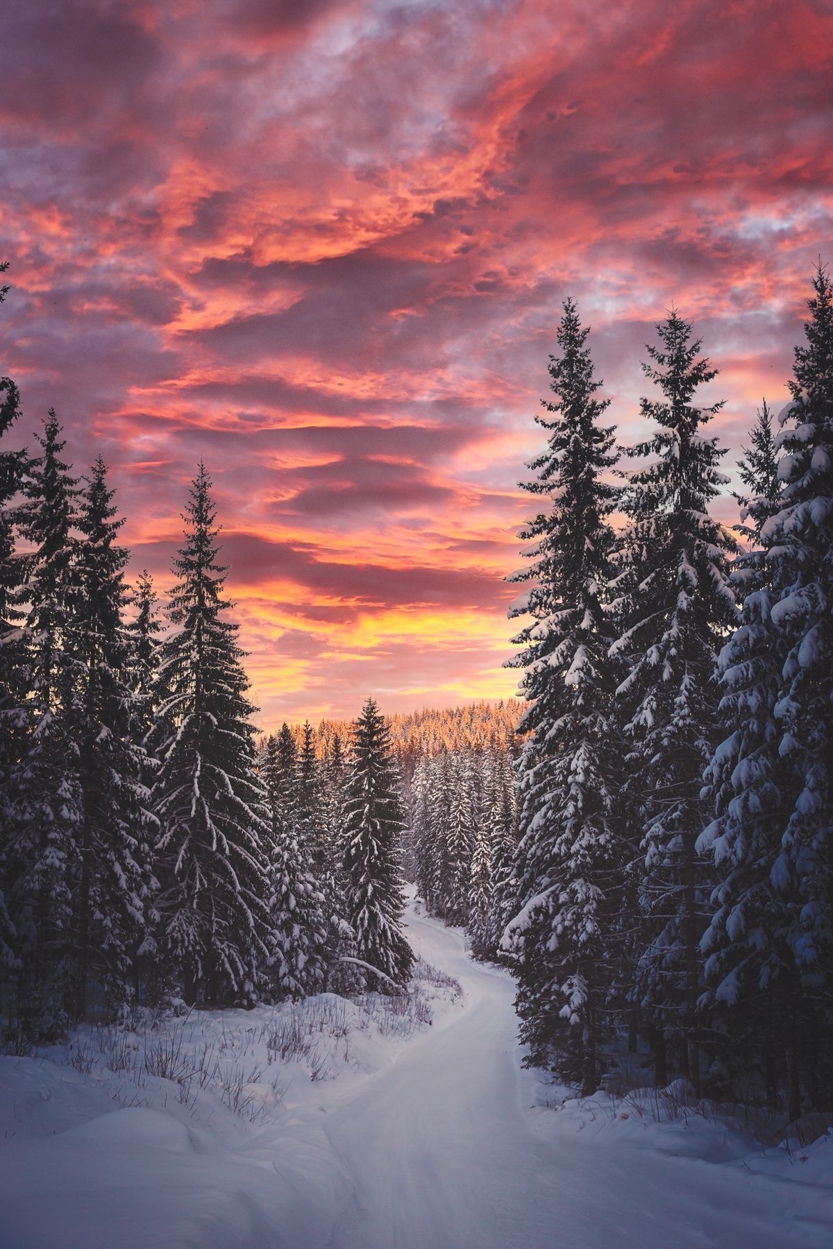 Top iPhone Winter Wallpaper And Android For The