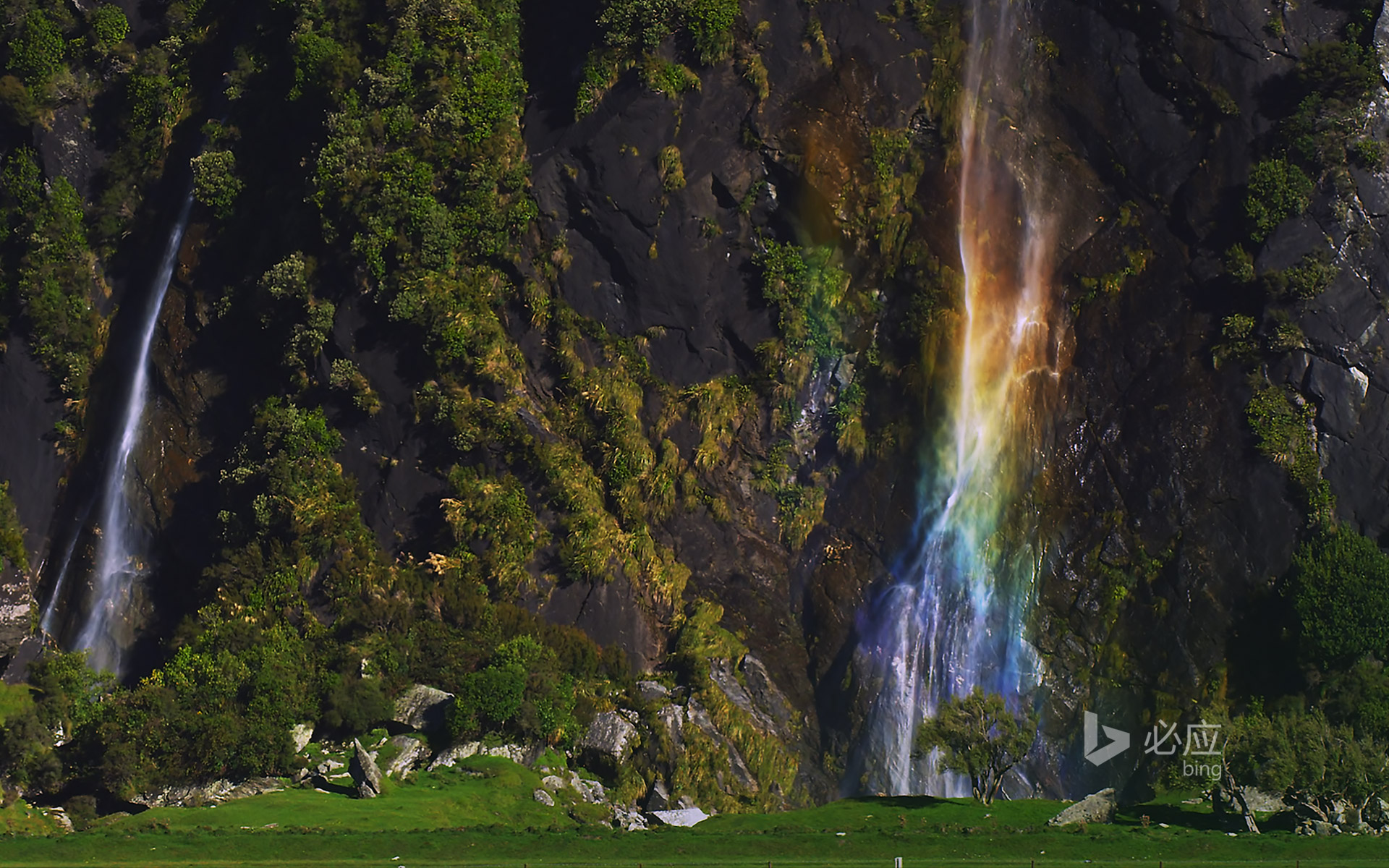 As Cachoeiras De Wishbone Ficam No Mount Aspiring National Park Na
