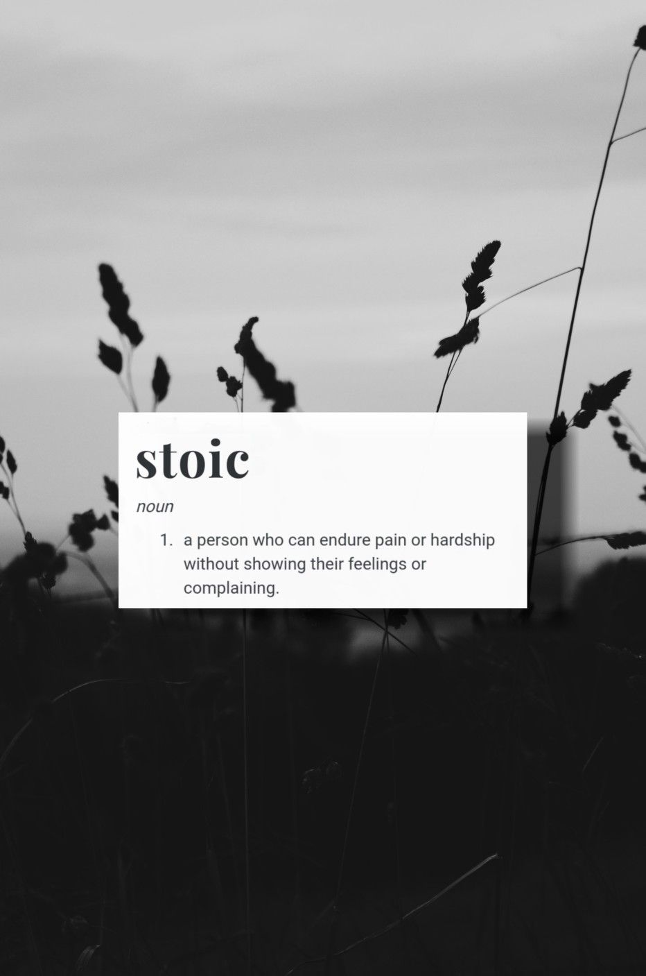 Stoic Aesthetic Wallpaper