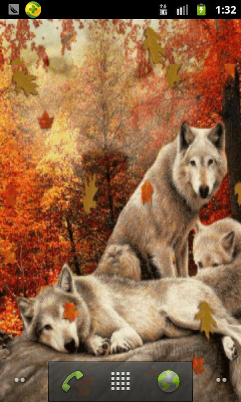 Autumn Wolves Related Keywords Suggestions   Autumn Wolves Long Tail