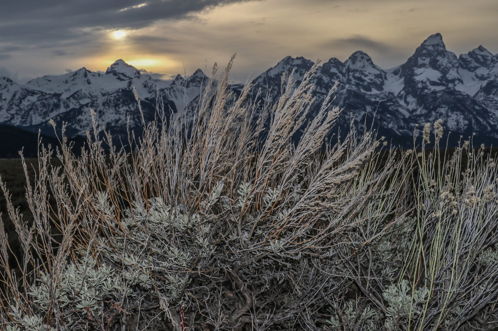 Teton Background Outdoor Photographer